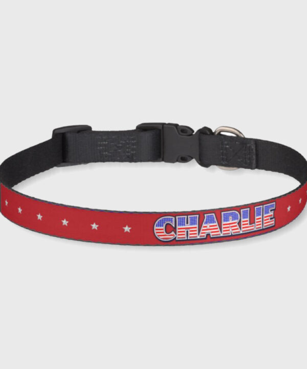 Personalized dog product with custom design – American style mockup