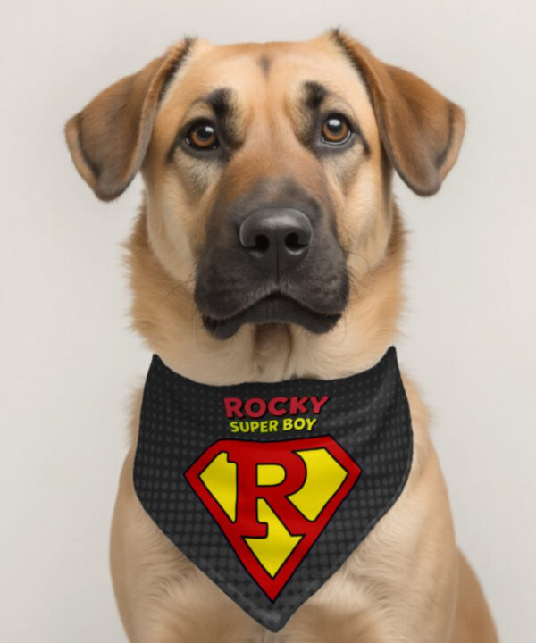 Custom dog bandana with pet name in superhero style