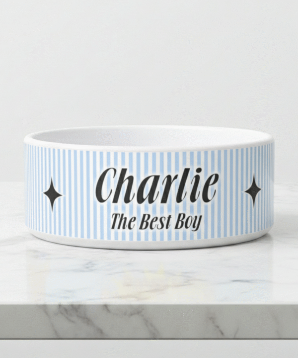 createvision-1773517561718