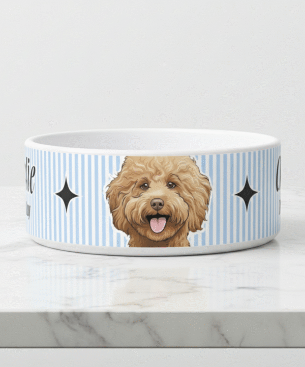 image_1773512534684_edgo5a