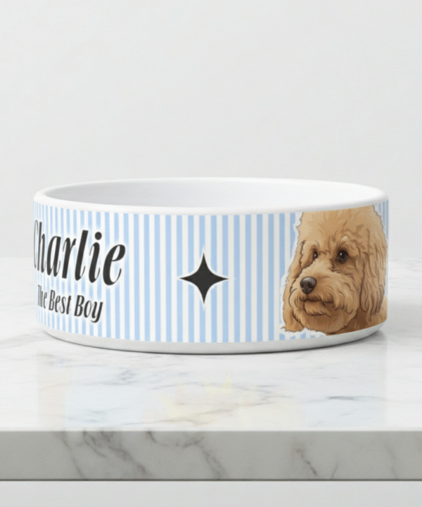 image_1773518143967_3iuw4i