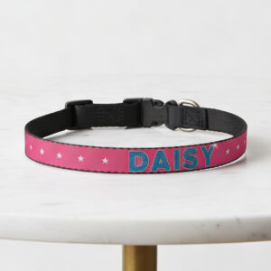 Custom Pet Collar