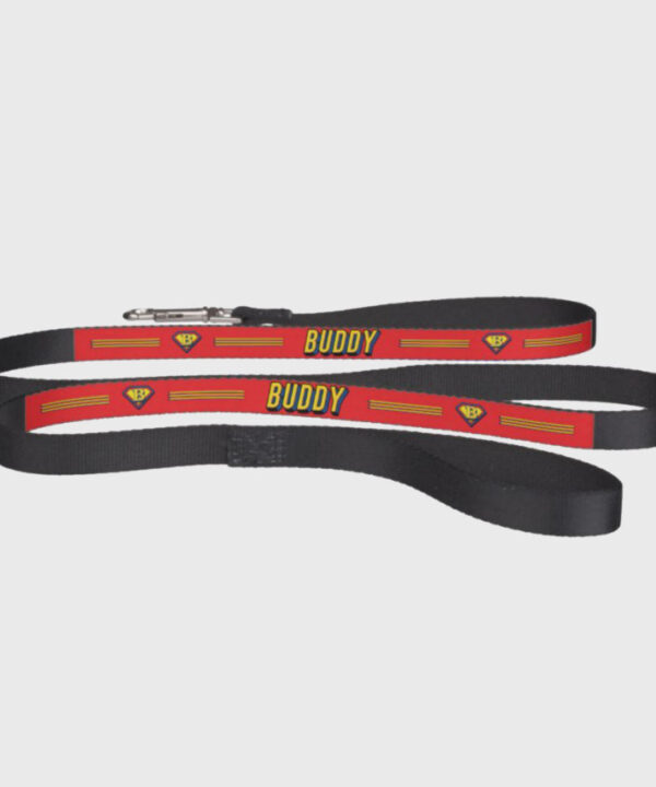 Personalized dog product with custom design – Hero dog leash mockup2