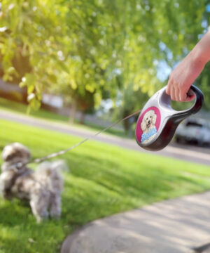Custom retractable dog leash with pet portrait and pet name in Barbie style