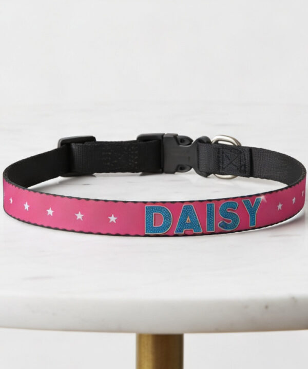 Personalized dog gift with custom design – Collar